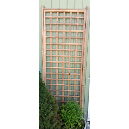 MGP 72'' H Wood Lattice Panel Trellis & Reviews Wayfair